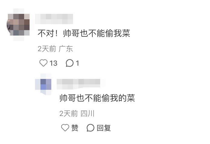 17年后，它依旧是休闲游戏的顶流-游戏价值论